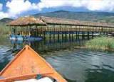 amazonas