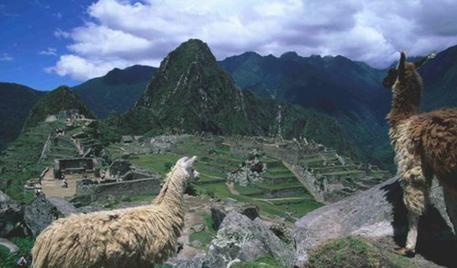 Machu Pichu 